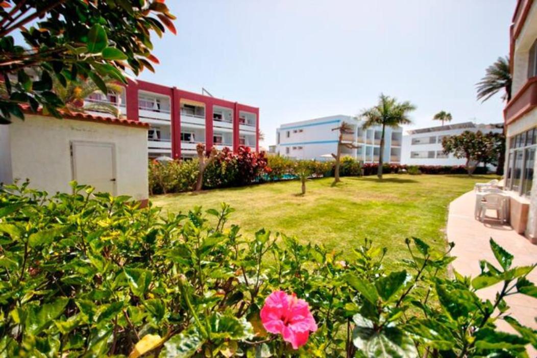 פלאייה דל אינגלז Apartamento Bonito 103 מראה חיצוני תמונה